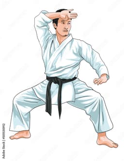 Belt Mestre